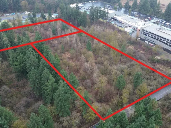 13036 188th Avenue SW, Rochester, WA 98579