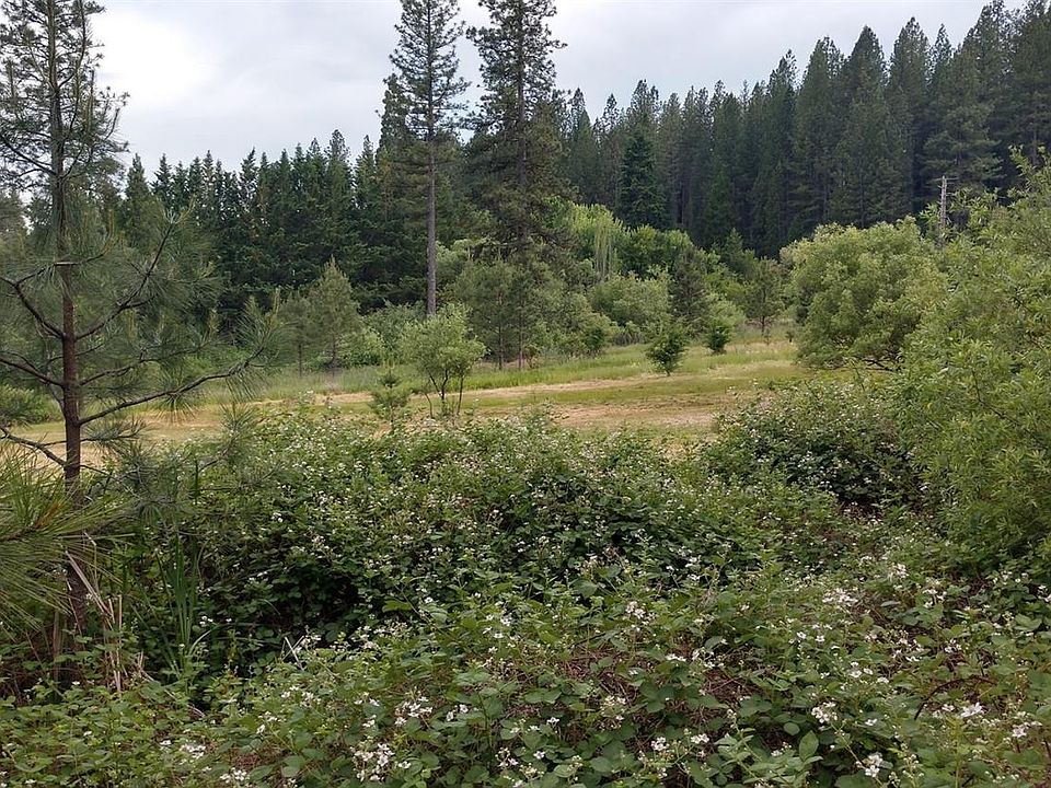 2nd image of 427 Woodland Way