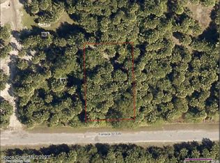 575 Fonsica St SW, Palm Bay, FL 32908