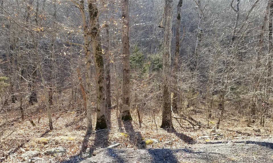 1st image of 1473 S Lake Sherwood Dr
