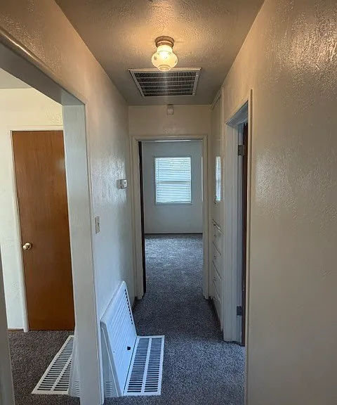 1514 Maplewood Dr — Photo 12