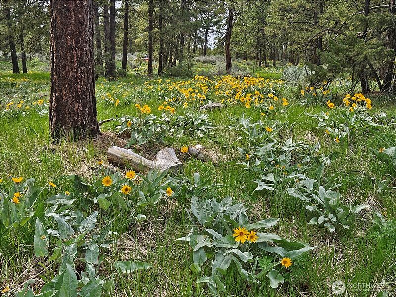 4th image of 0 Muledeer Road