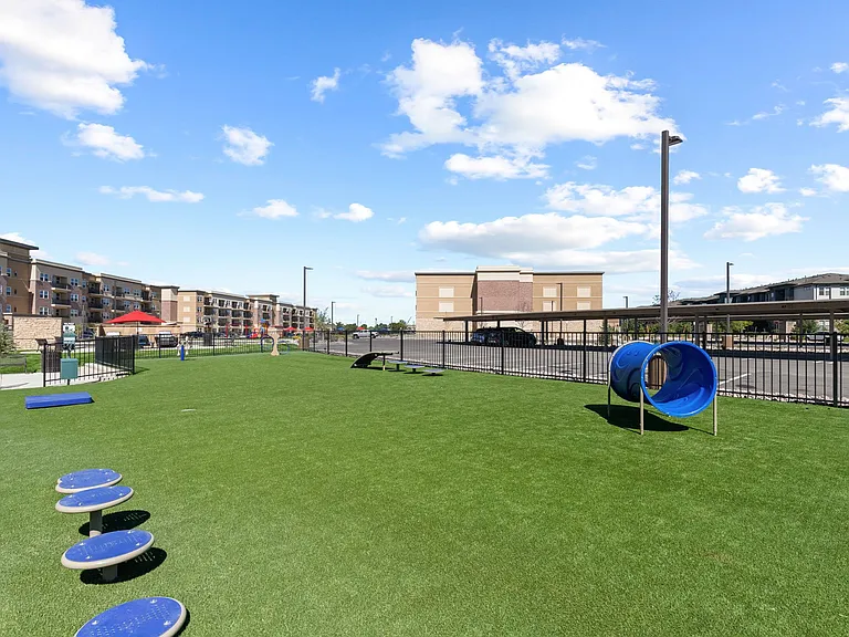 Fenced dog park