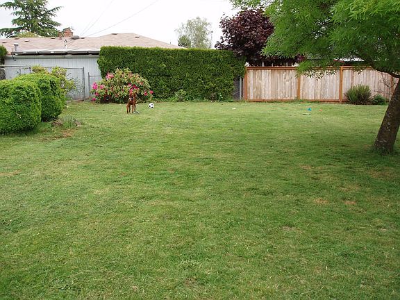 Big Back Yard
