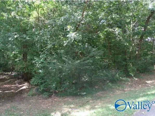 19 Martha Ln NE, Arab, AL 35016