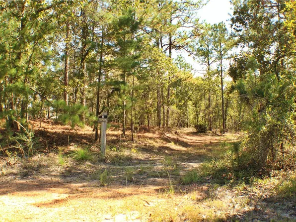 5583 Sandfort Rd, Seale, AL 36875