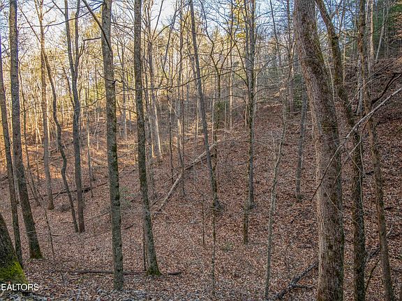 2nd image of 2474 Dove View Rd #6