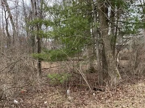 Lots 1 4 W Lakewood Grove Dr, Baldwin, MI 49304