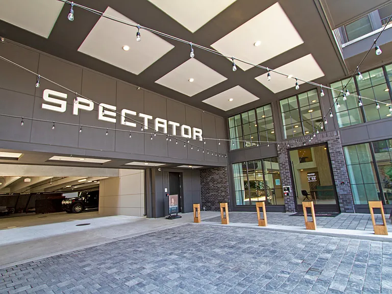 Spectator