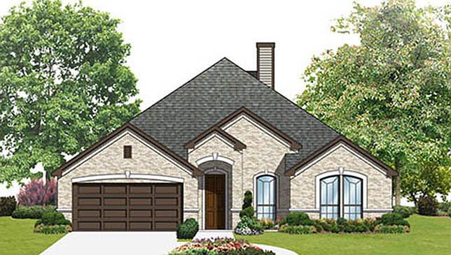 Elevation Image 1.