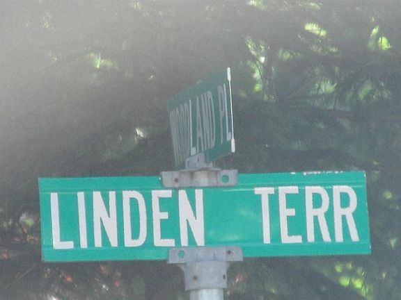 5th image of 36 Linden Ter