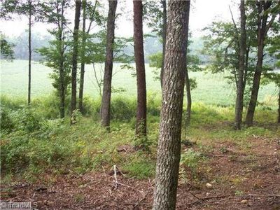 TRACT 4 Creed Rd, Mount Airy, NC, 27030