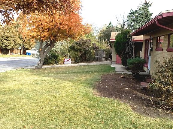 Front yard