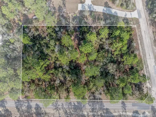 7082 N Treehaven Ter Lot 6, Dunnellon, FL 34433