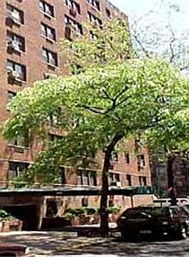 4th image of 1463 2nd Ave #3C
