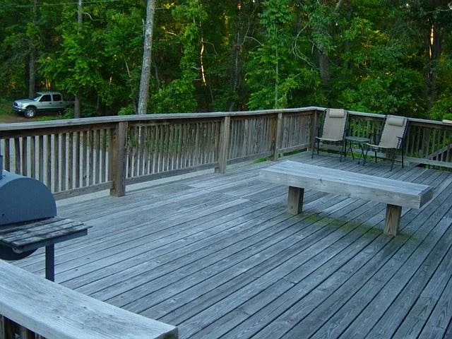 1 bed, 800 sqft, $900 — Photo 2