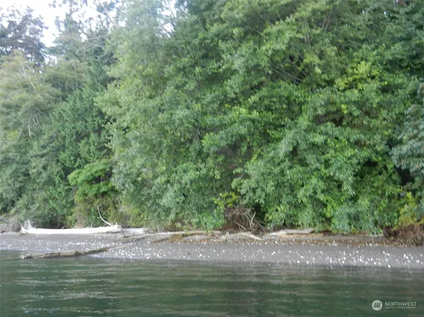 9999 Harrington Drive, Quilcene, WA 98376