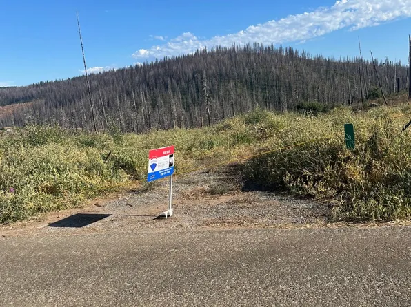 Grizzly Flat Rd, Grizzly Flats, CA 95636
