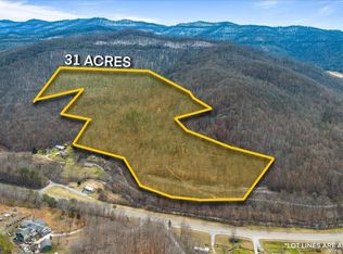 Straight Fork Rd, Pioneer, TN 37847