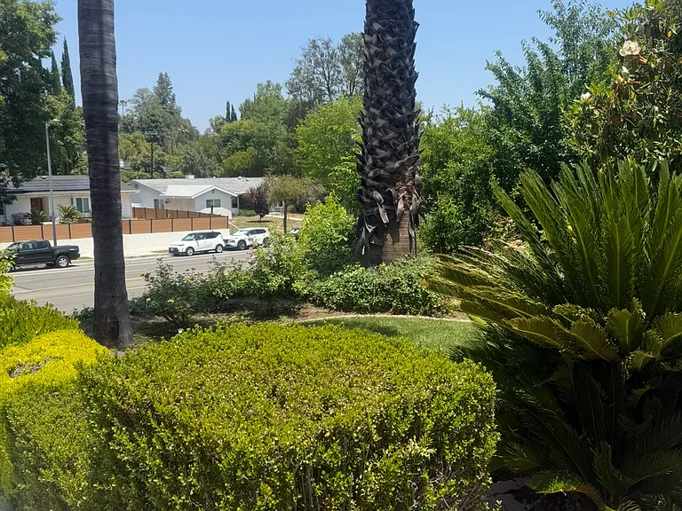 24316 Burbank Blvd — Photo 5