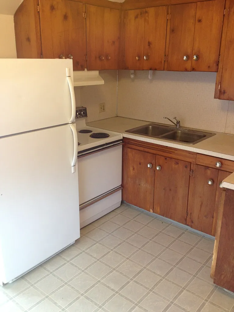 1 bed, 450 sqft, $910 — Photo 4