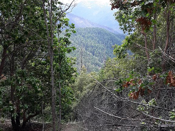 3rd image of 0 Cecilville Road