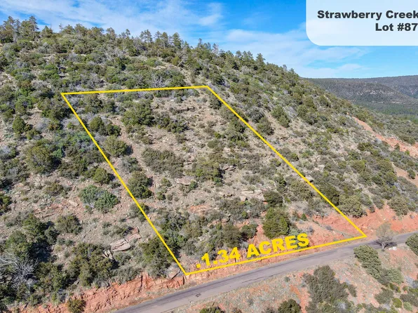 87 Strawberry Mtn, Pine, AZ 85544