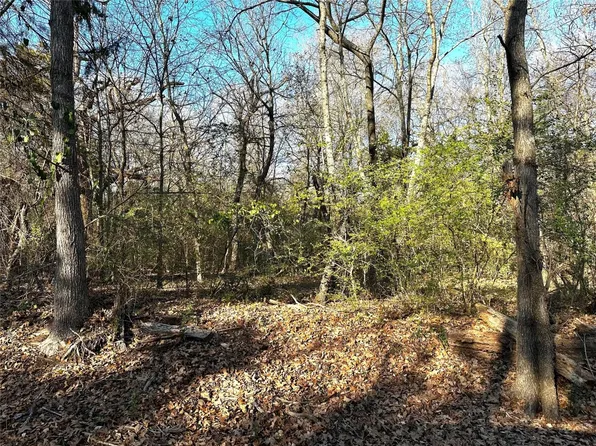 County Road 14050, Blossom, TX 75416