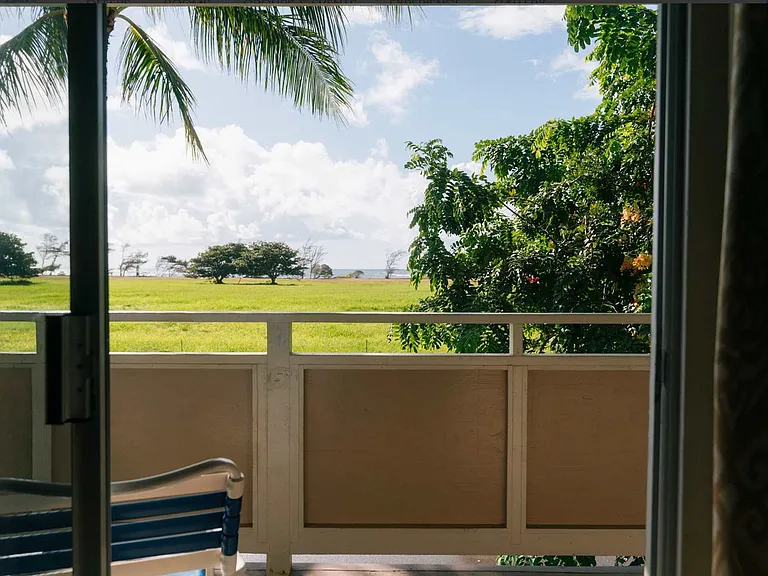 Window View