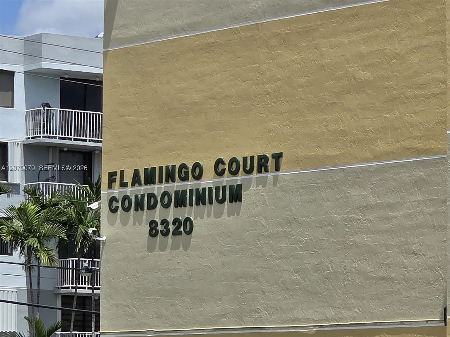 Flamingo Court Condo — Photo 3