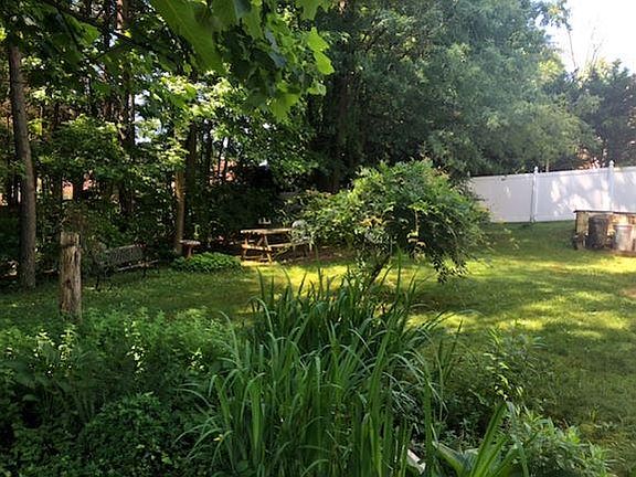 Back yard