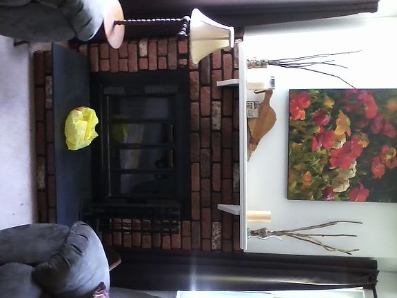 Fireplace in Living Room