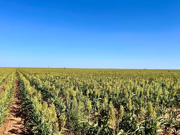 1 County Rd, Tokio, TX 79376