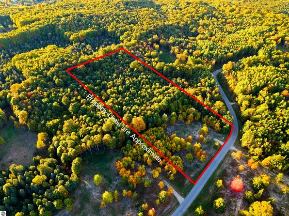 10825 Pine Ridge Dr SW #13, Fife Lake, MI 49633