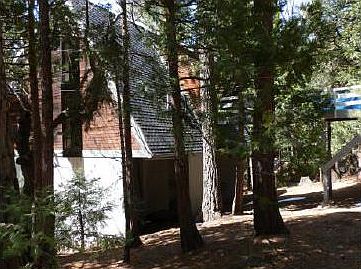 Home nestled in the Tall Pines
