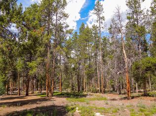1700 Four Seasons Blvd, Leadville, CO 80461