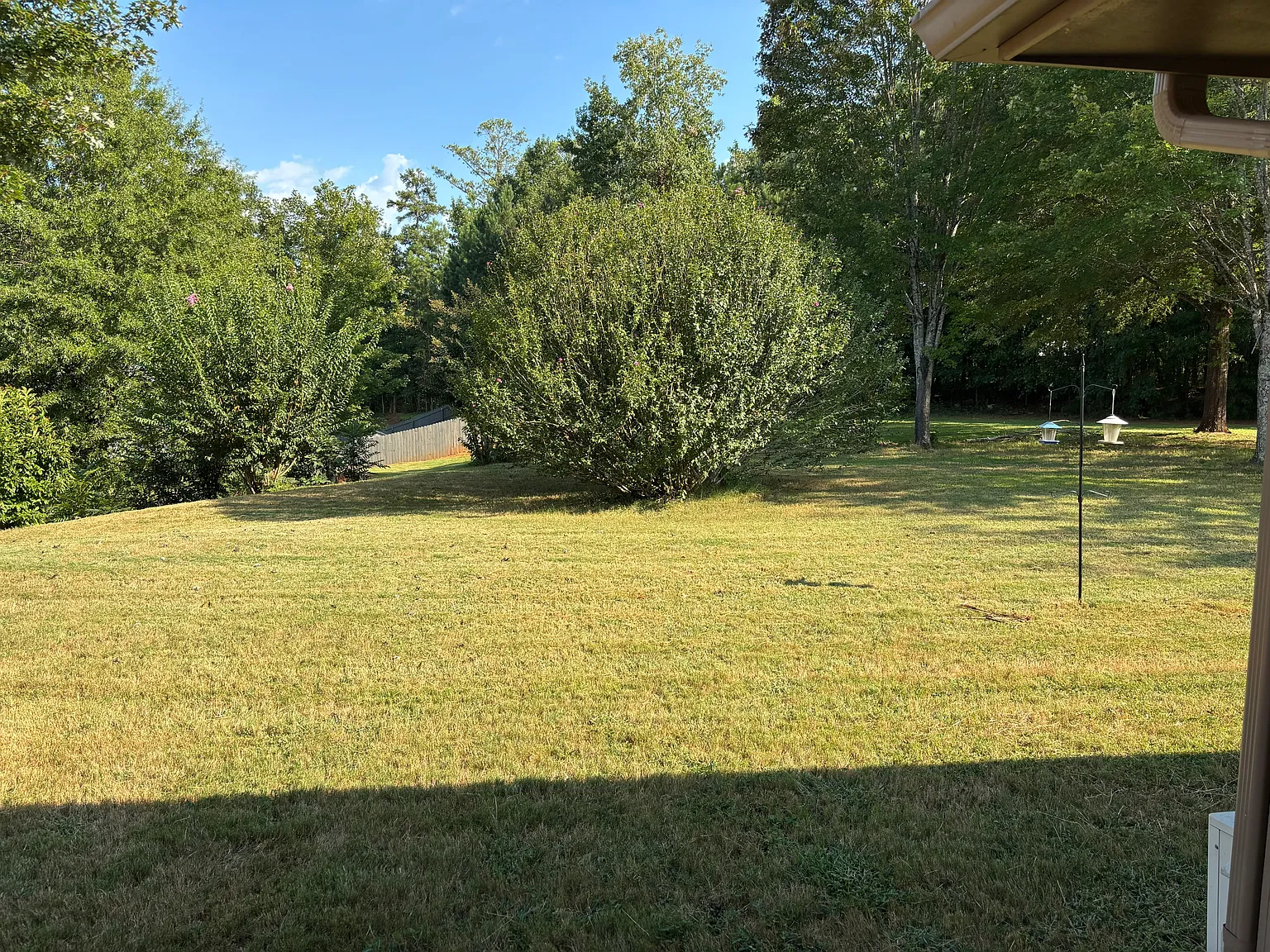 5 bed, $3,100 — Photo 4