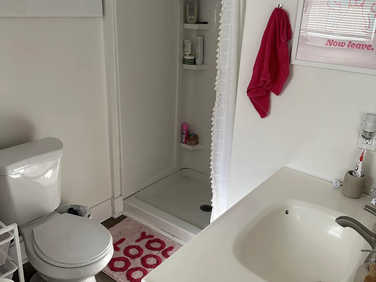 2 bed, 1000 sqft, $1,900 — Photo 3
