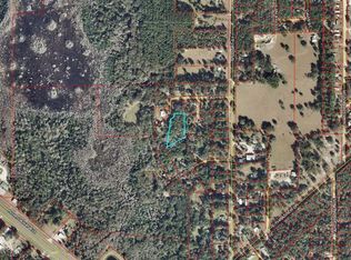 000 Easy St, Bronson, FL 32621