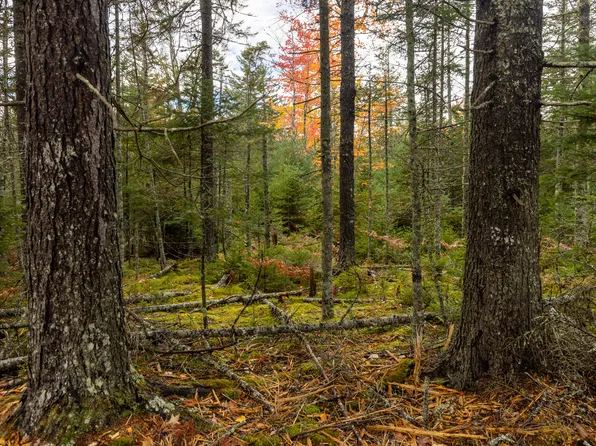 27-10-4E2A Pine Cone  Lane, Surry, ME 04684