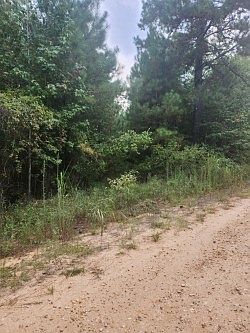 2nd image of 28256 County Road 2