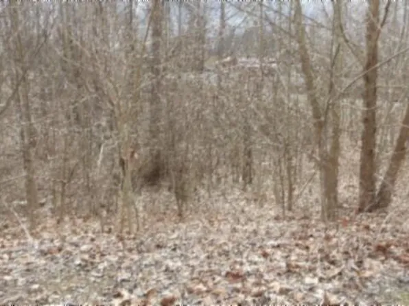 551AC Beaver Ln, Gainesboro, TN 38562