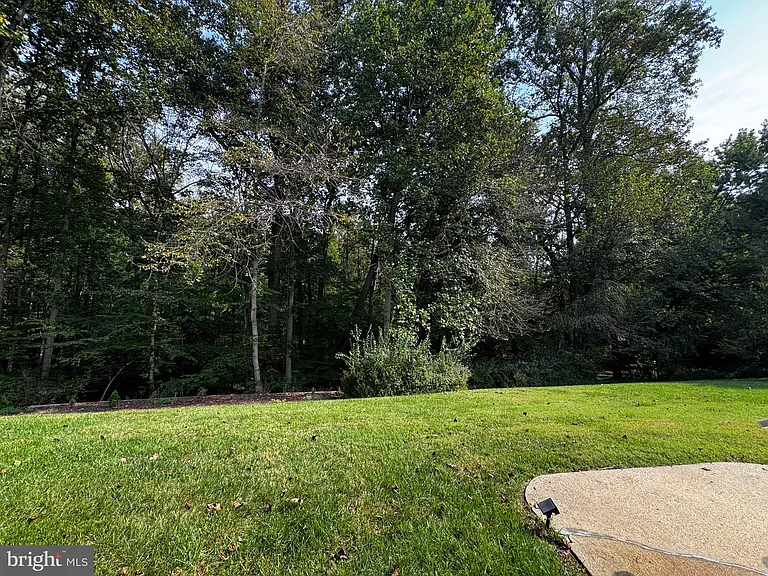8268 Rippling Branch Rd — Photo 24