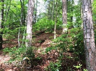 20 Magnolia Dr, Blue Ridge, GA 30513