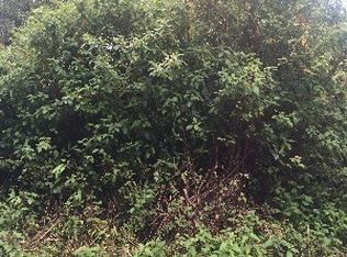 Haunani Rd LOT 4, Volcano, HI 96785