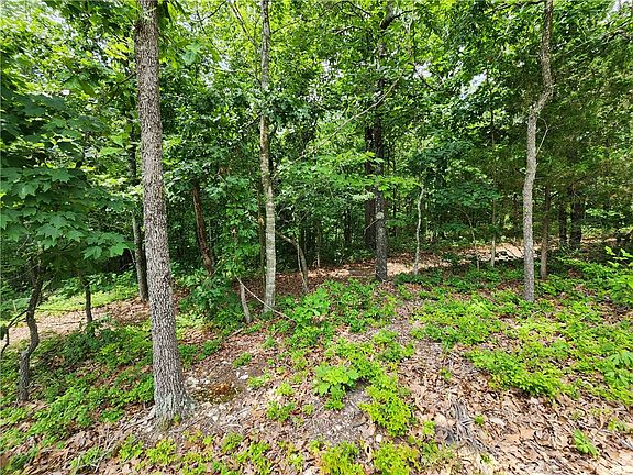 5th image of Cairn Ln #20