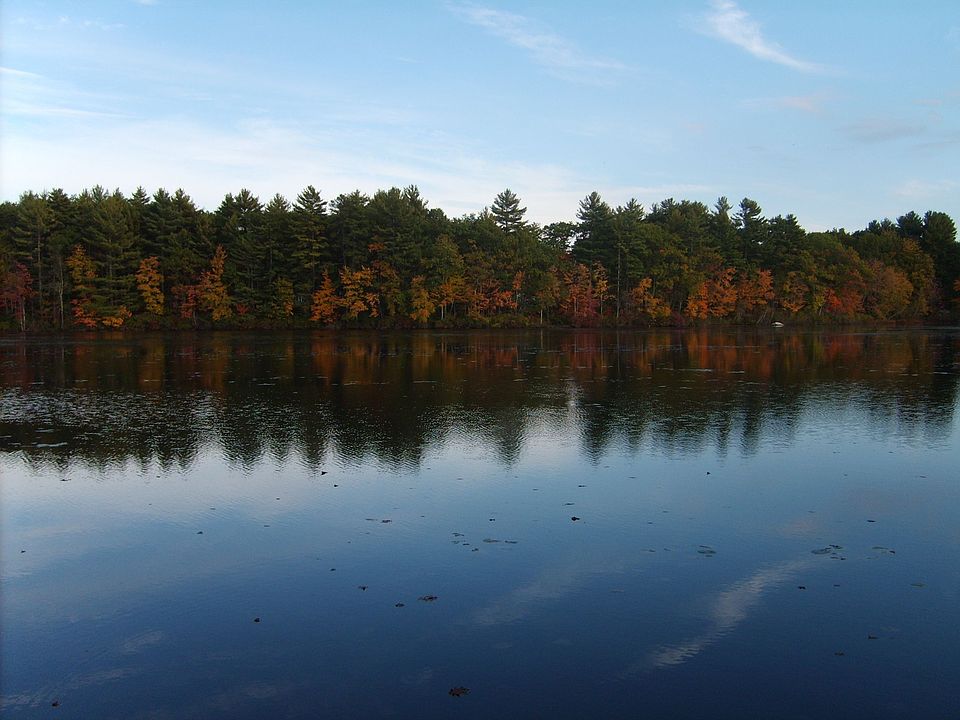 Tarkill Pond from frontage