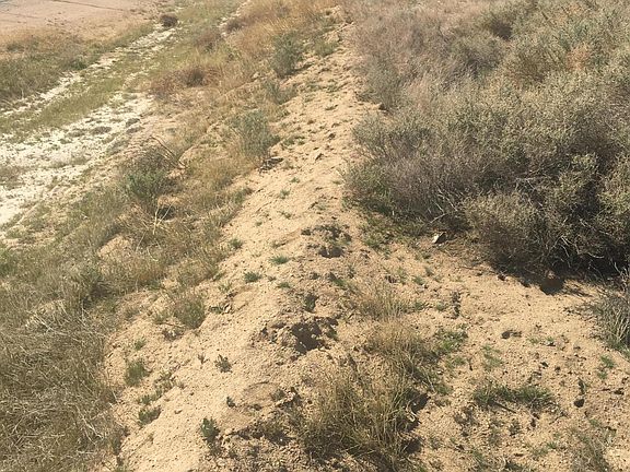 3rd image of On 80th Street West Near E 8 Avenue Antelope Acres