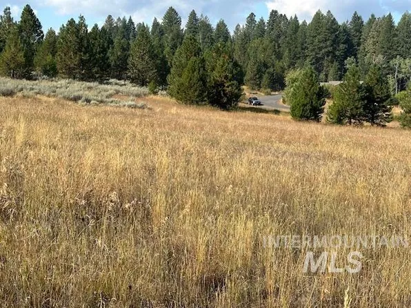 44 Tranquility Ln, McCall, ID 83638