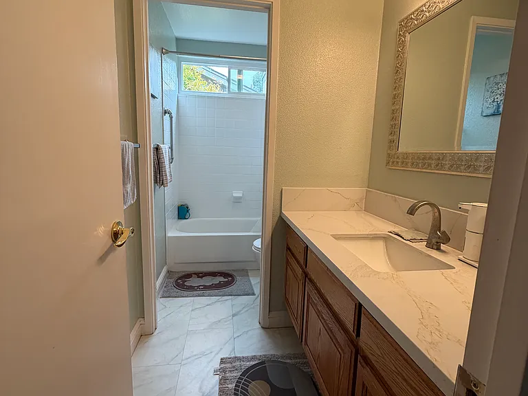 34344 Gadwall Cmn — Photo 22